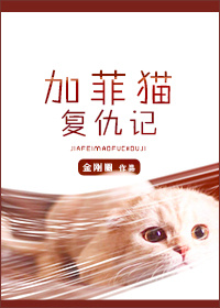 �ӷ�è�����