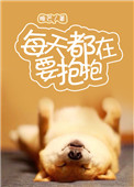 ÿ�춼��Ҫ����