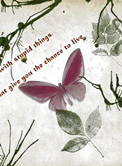 һ��һ�������˹�