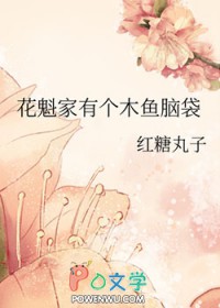 ��ɮ��������