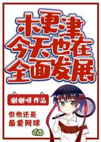 [����] ľ�������Ҳ��ȫ�淢չ
